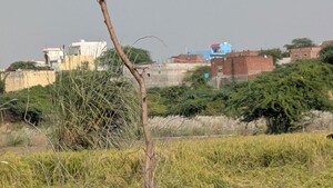 Plot Area in  Plot at Dankaur Inner Township, Dankaur – for Sale