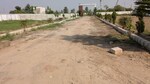 100 Sq.Yd. Plot in Dankaur Inner Township