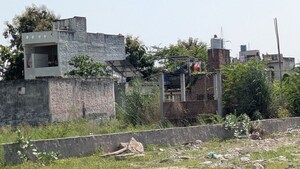 Plot Area in  Plot at Dankaur Inner Township, Dankaur – for Sale