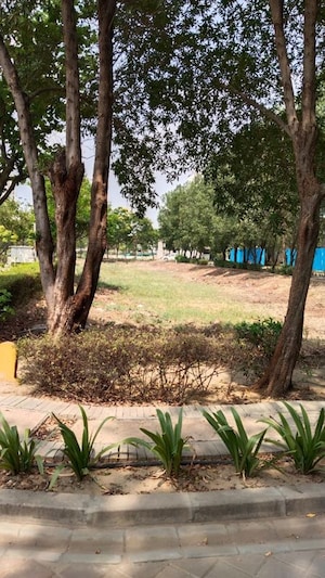  Plot – Garden View at BPTP Amstoria Plot, Sector 102 - for Sale