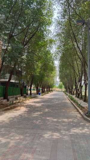  Plot – Garden View at BPTP Amstoria Plot, Sector 102 - for Sale