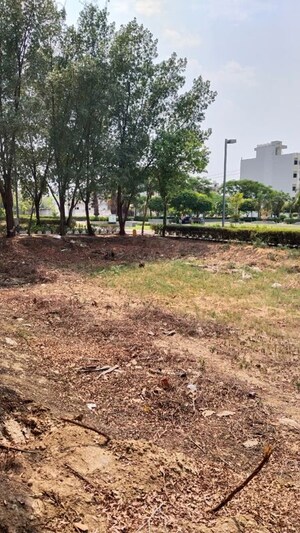 Plot Area in  Plot at BPTP Amstoria Plot, Sector 102 – for Sale
