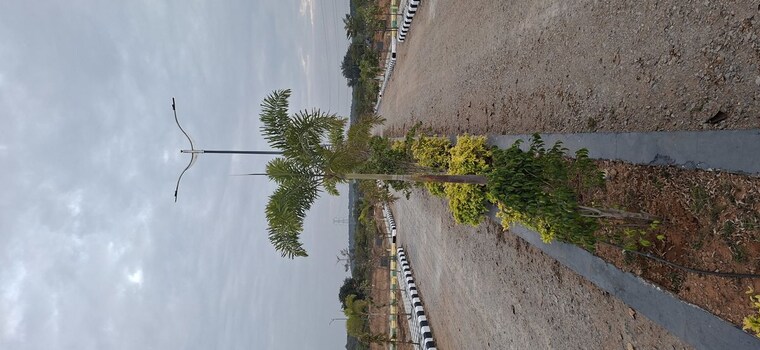undefined, ibrahimpatnam  167 Sq.Yd. Plot In Ibrahimpatnam Hyderabad 10363161