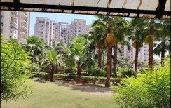 3 BHK Apartment For Rent in Motiaz Royal Citi