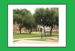 1 BHK Apartment For Sale in THD Garden