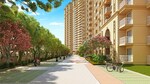 3 BHK + Pooja Room 745 Sq.Ft. Apartment in Signature Global Golf Greens