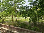 1520 Sq.Ft. Plot in Unitech South City