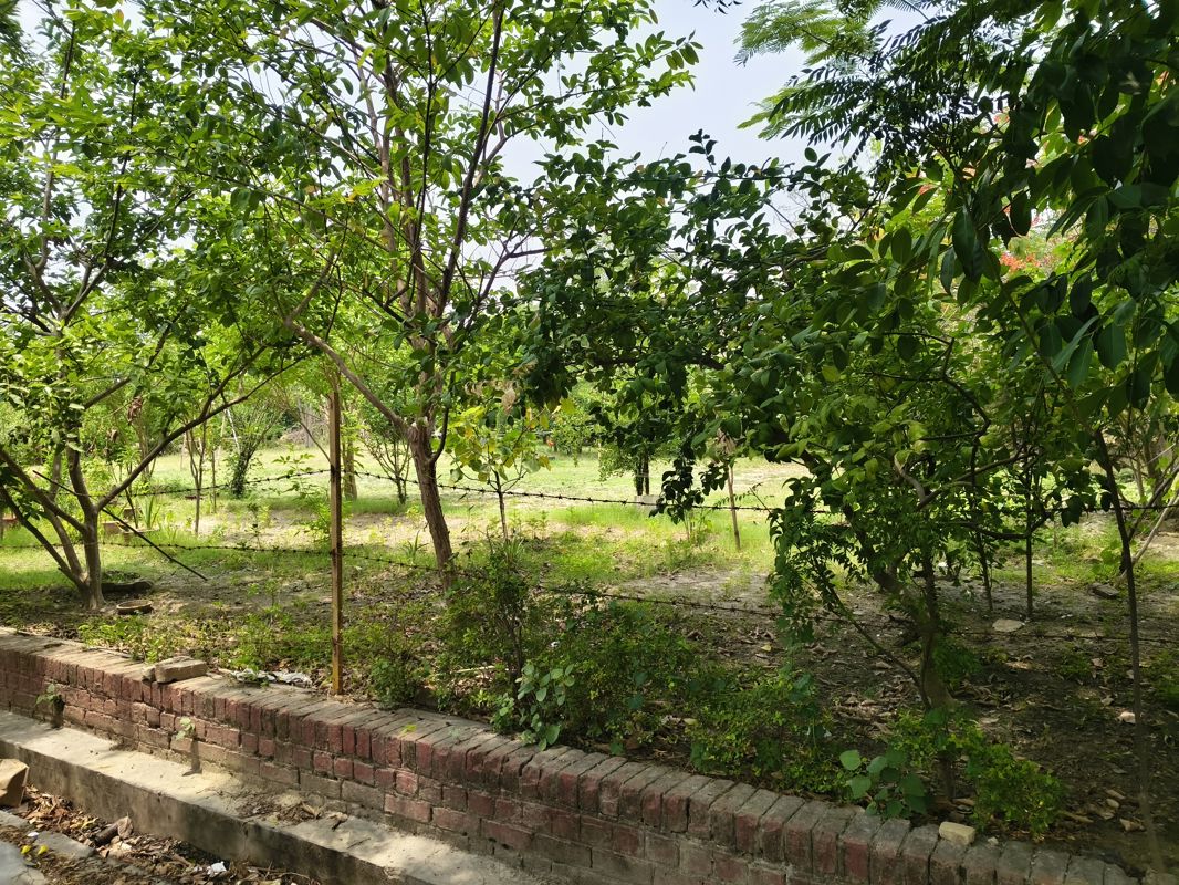 Plot For Sale in Unitech South City