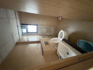 Bathroom in 3 BHK Apartment at Mahanuraj CHS, Aundh – for Rent
