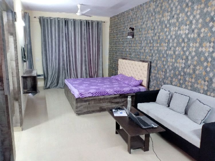 1 Rk  + Basement 494 Sq.Ft. Apartment in Logix Blossom Zest