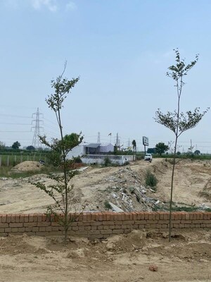 Plot Area in  Plot at Sultanpur – for Sale