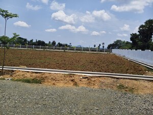  Plot For Sale in Chelluru