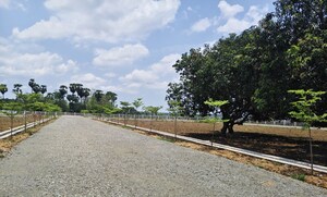 Plot Area in  Plot at Chelluru – for Sale