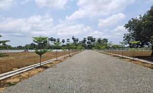 Plot Area in  Plot at Chelluru – for Sale