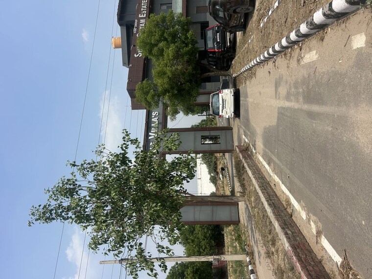 undefined, sector 1  352 Sq.Yd. Plot In Sector 1 Jhajjar 10362063