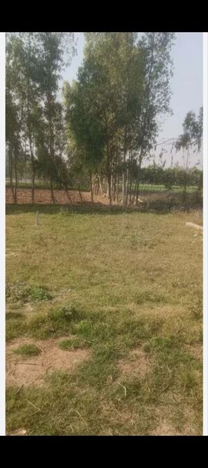  Plot For Sale in Sector 85