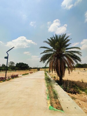 Plot Area in  Plot at Challaghatta – for Sale