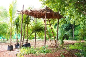 Plot Area in  Plot at Shankarpalli – for Sale