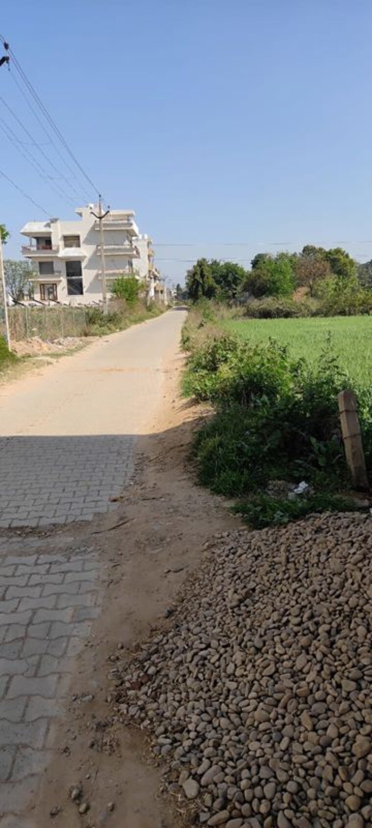 undefined, altus-prime  238 Sq.Yd. Plot In North Mullanpur Chandigarh 10365053
