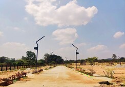 Plot For Sale in Hajjala