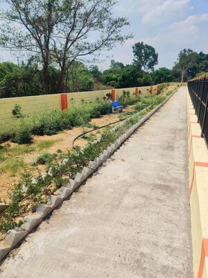 Plot Area in  Plot at Hajjala – for Sale