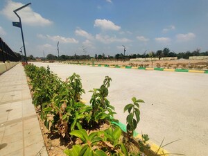 Plot Area in  Plot at Hajjala – for Sale