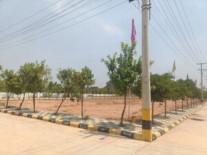   Plot at Ravalkole – for Sale