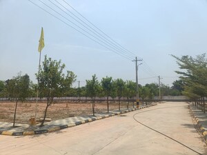 Plot Area in  Plot at Ravalkole – for Sale
