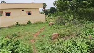 Plot Area in  Plot at Lakdi Ka Pul – for Sale