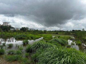 Plot Area in  Plot at Maval – for Sale