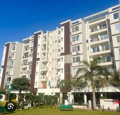 3 BHK Apartment For Sale in Sector 127