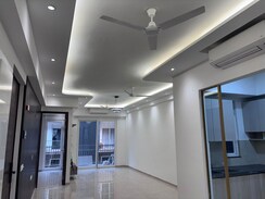 3 BHK + Basement Apartment For Rent in Sector 61