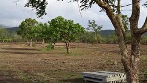  Plot For Sale in Pirangut