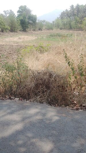 Plot Area in  Plot at Panvel – for Sale