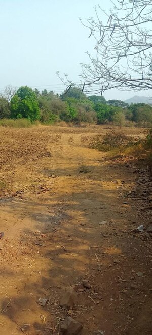  Plot For Sale in Panvel