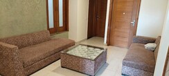 3 BHK Builder Floor For Rent in Sector 43