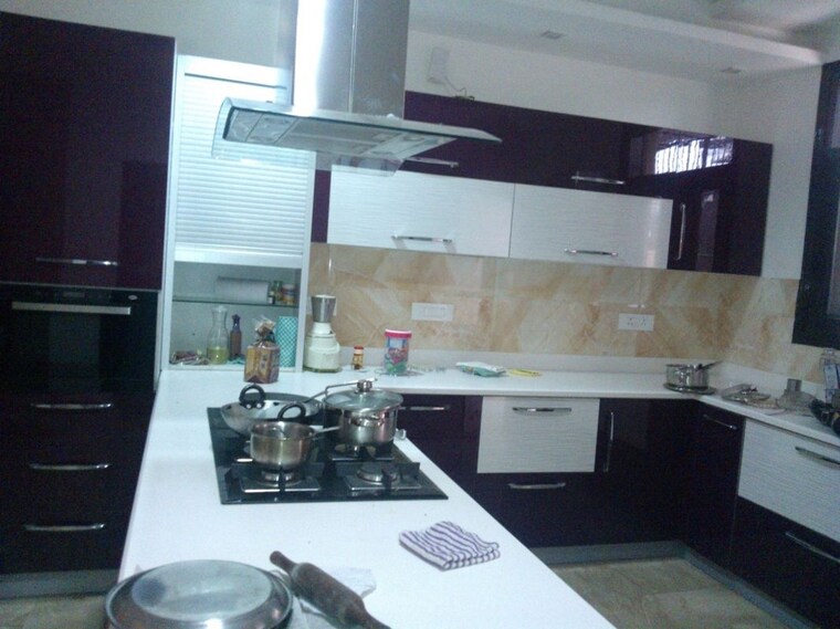 Team Area, sector 36 6 Bedroom 205 Sq.Mt. Independent House In Sector 36 Noida 10366151