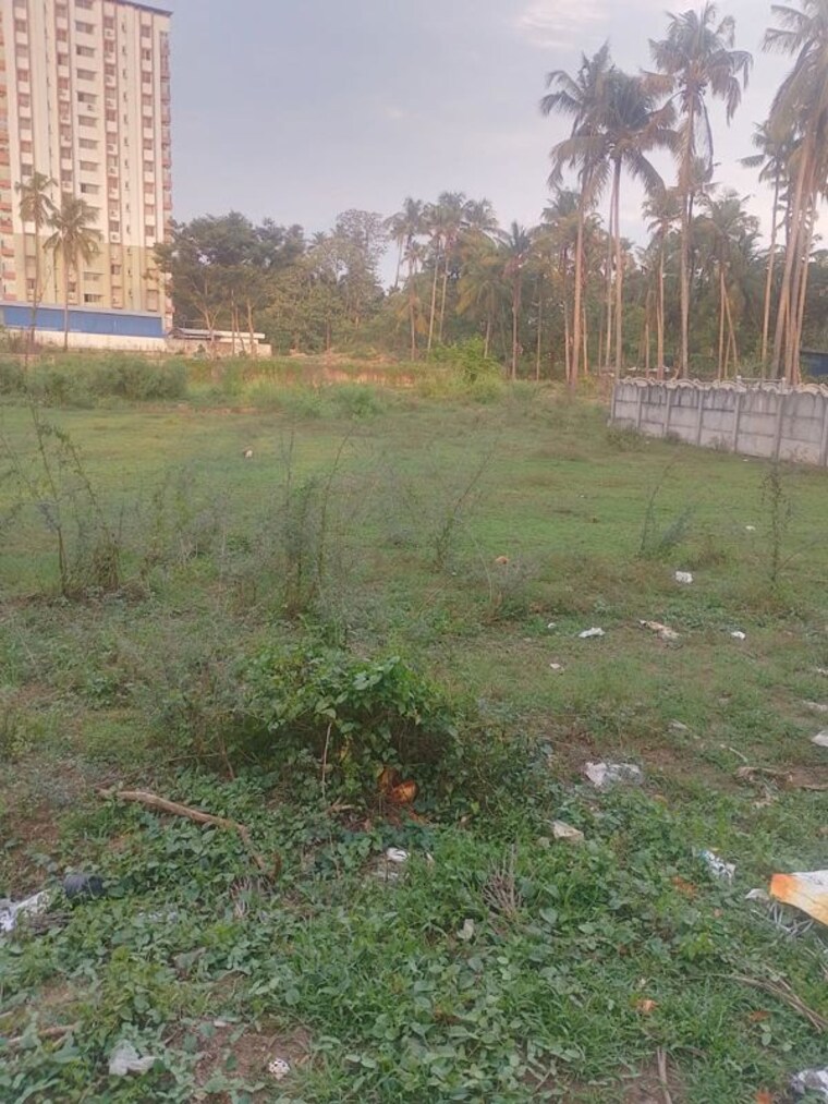 undefined, ollur  4356 Sq.Ft. Plot In Ollur Thrissur 10366211