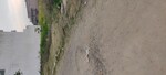 157 Sq.Yd. Plot in Altus Prime