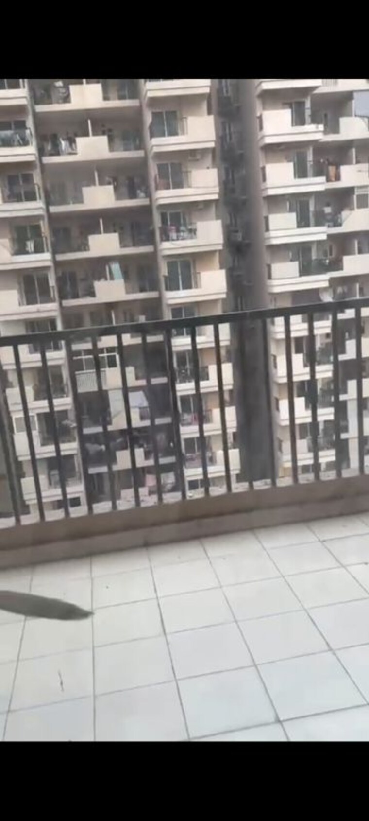 Balcony, gaur-atulyam 4 Bedroom 1600 Sq.Ft. Apartment In Omicron I Greater Noida Greater Noida 10366333
