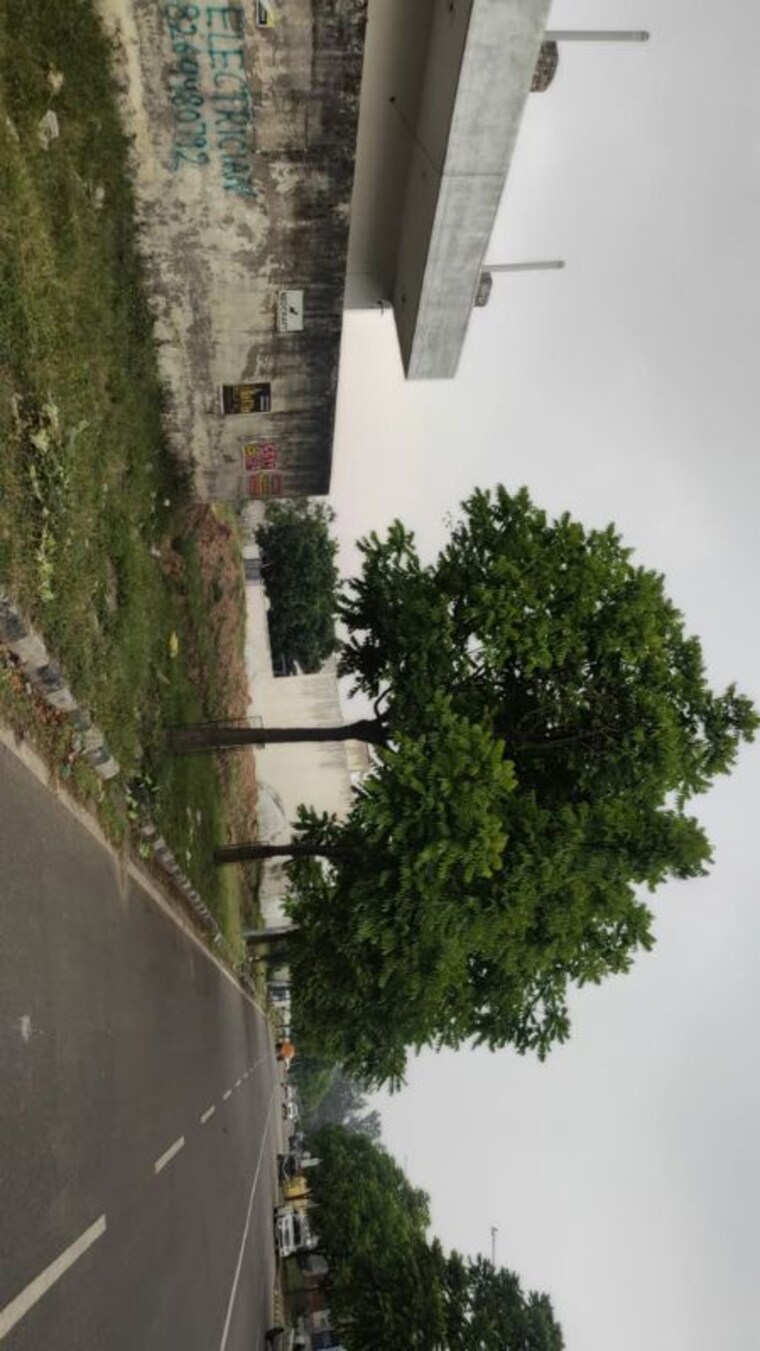 undefined, dlf-hyde-park  250 Sq.Yd. Plot In South Mullanpur Chandigarh 10365207