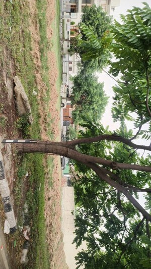 Plot Area in  Plot at DLF Hyde Park, South Mullanpur – for Sale