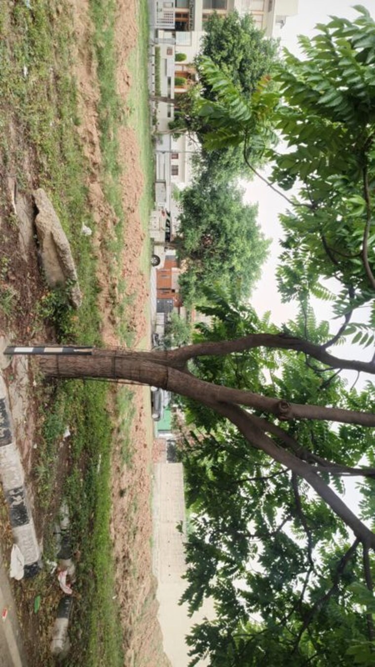 undefined, dlf-hyde-park  250 Sq.Yd. Plot In South Mullanpur Chandigarh 10365207