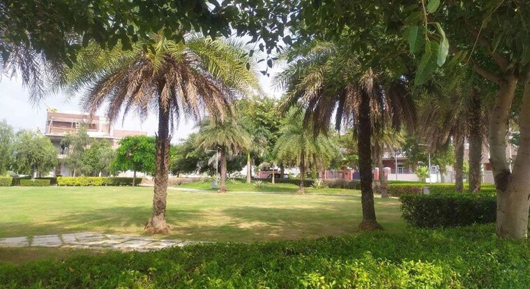 Garden, dlf-hyde-park  250 Sq.Yd. Plot In South Mullanpur Chandigarh 10365207