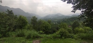 Plot Area in 3 BHK Villa at Barotiwala – for Sale
