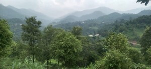 3 BHK Villa – Garden View at Barotiwala - for Sale