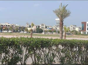3 BHK Builder Floor – Garden View at Omaxe Silver Birch, North Mullanpur - for Sale