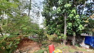  Plot For Sale in Pettah