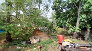 Plot Area in  Plot at Pettah – for Sale