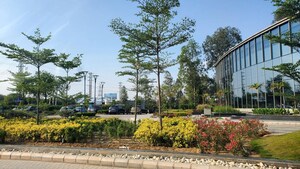Plot Area in 3.5 BHK Builder Floor at Bhondsi – for Sale